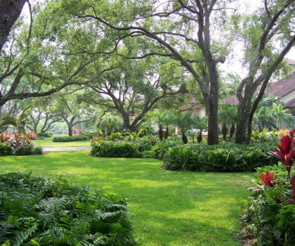 Taman dengan pohon-pohon besar dan rindang